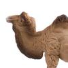 Simulation Camel Model Standing Kneeling Single Two Humped Camel Figurine Miniature Desert Animal Educational Toy Collectible Decoration