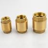 Haisidick GNJZ-631 Vertical Brass Spring Check Valve