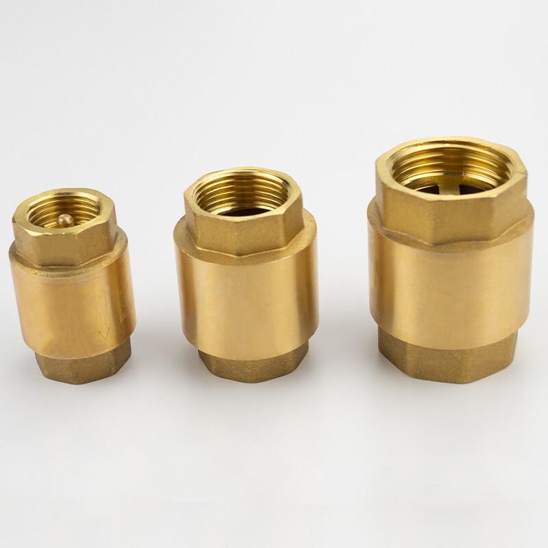 Haisidick GNJZ-631 Vertical Brass Spring Check Valve