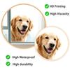 Golden Retriever Static Cling Glass Sticker No Glue for Kitchen Bedroom Window Decor