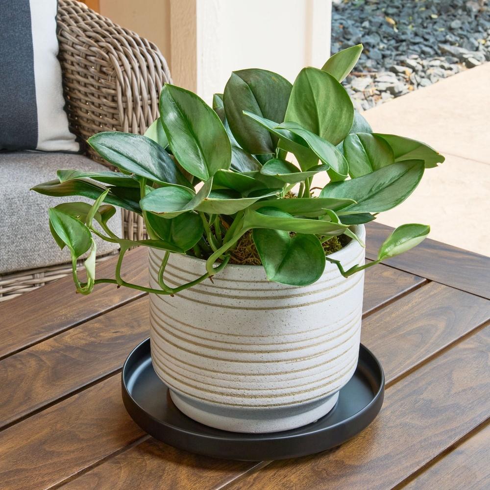 Langlebige Metalluntertasse 9,8 Zoll Blumentopfuntersetzer Wasserdicht Drainage Innen- und Außenbereich Heimdeko Pflanzenpflege