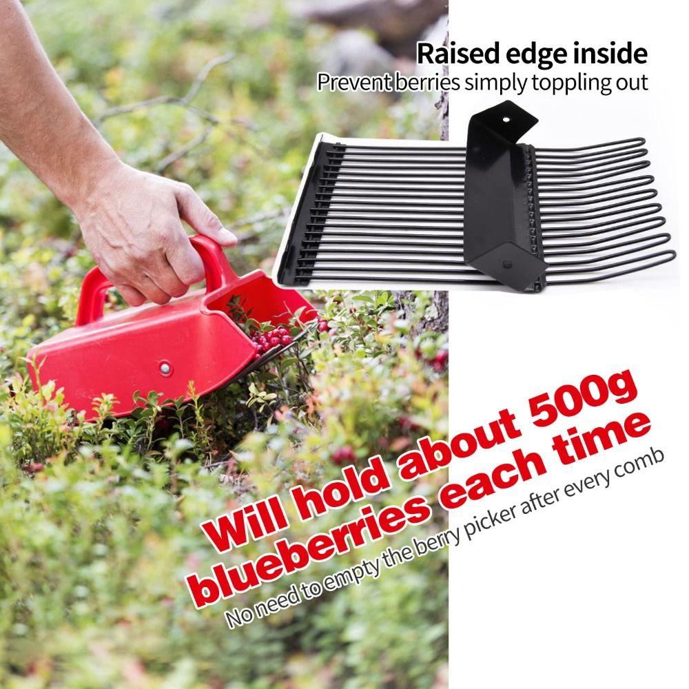 Picking Berry Harvester Scoop Metal Comb Rakes Blueberry Picker Scoop Design Effective Berry Picking Rakes Fruit Harvesting