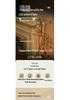 Starry Sky LED String Lights: Perfect for Living Room, Bedroom, Weddings, and Festive Decor