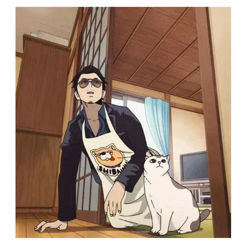 Cosplay Costume Super Master Cosplay Apron Undead Dragon Japanese Two-dimensional Cos Anime Japanese Apron