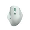 Periferice pentru calculatoare – Mouse-uri