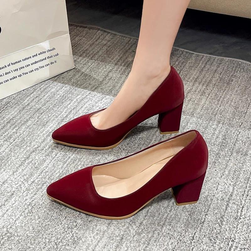 Fashion Purple High Heels 2024 Autumn New Women's Pumps Comfortable Shallow Office Lady Shoes Sexy Pointed Toe Chunky Heels Big Size 43