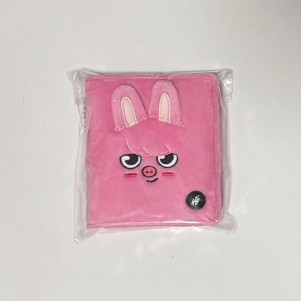 [USED] Stray Kids Changbin DWAEKKI Photo Card Case