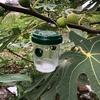Solar-Powered Insect Trap – Mosquito & Fruit Fly Catcher for Orchard, Garden, and Bee Protection