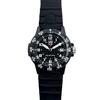 Used [Immediate delivery] LUMINOX LEATHERBACK SEA TURTLE GIANT 0300 SERIES