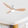 IRALAN Ceiling Fan With Light,42 Inch/52 Inch Low Profile Ceiling Fan with Remote Control,  For Indoor and Covered Outdoor