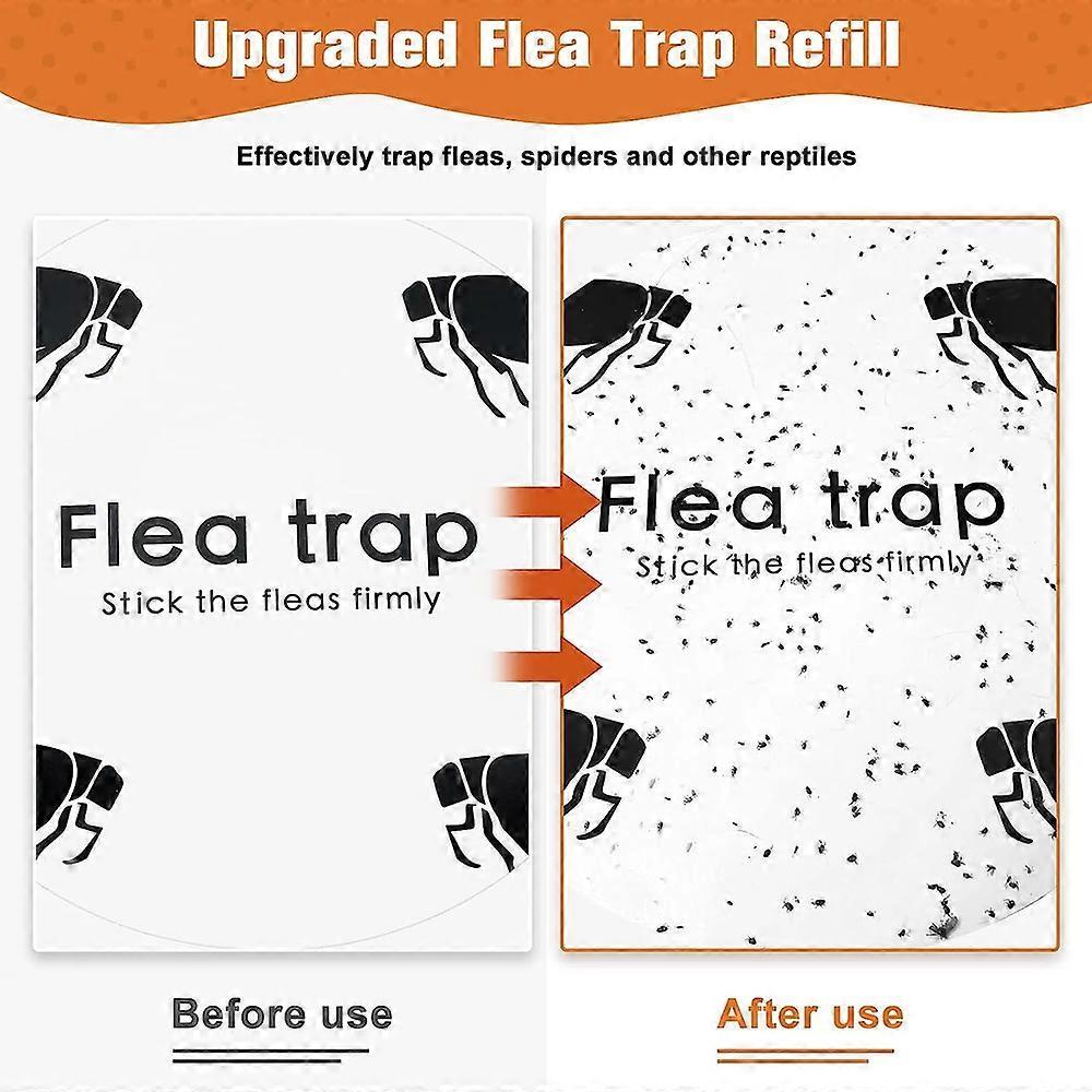 Flo- und Bettwanzenfalle Geruchloser Reiniger und Flohbekämpfer Falle Klebepads Klebrige Kuppel