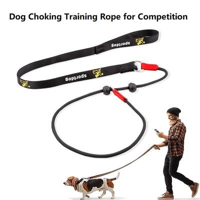 Training Dog Choking Rope Leash 2 In 1 Lead Collar 150cm P-Shaped Chain Slip Lead Control Leash for Small Large Competition Dogs