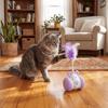 2 Play Mode Electric Racing Car Cat Toy USB Rechargeable Interactive Pet Toy  Cat Training