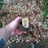 Simulated Stone Key Box, Realistic Rock Appearance, Anti-theft, Suitable for Placement in Courtyards, Gardens, and Doorways