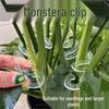 Transparent Plant Stem Fixer and Gatherer for Potted and Art Flowers - Monstera Clip Support