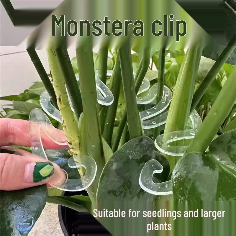 Transparent Plant Stem Fixer and Gatherer for Potted and Art Flowers - Monstera Clip Support