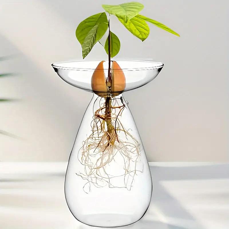 Colorful Transparent Avocado Hydroponic Vase Glass Avocado Seed Starter Vase Plant Seed Growing Kit Gardening Lovers Home Decor