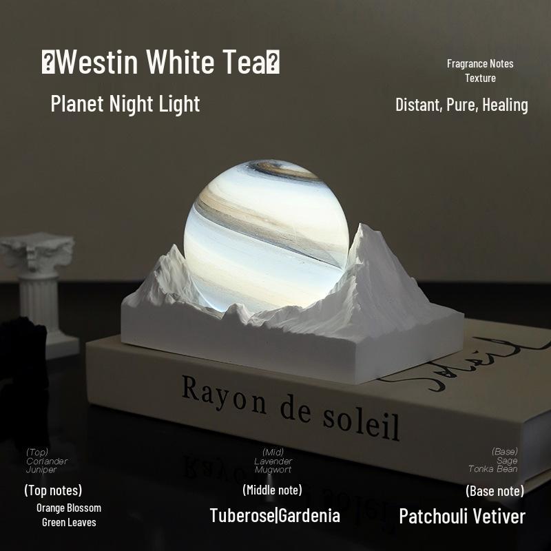 Moon Valley Aroma Diffuser: Elegant Bedroom Night Light & Fragrance Gift for Girls