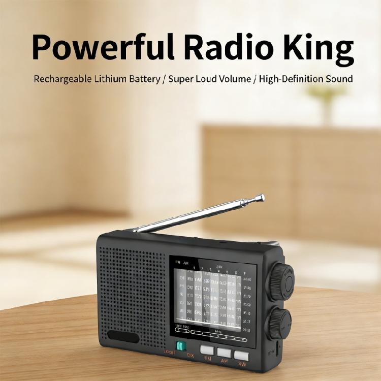 Elderly Friendly Portable Radio AM FM SW MW Bands Rechargeable Battery Radio Large Volumes Speaker Clear Sound