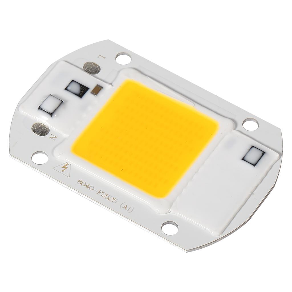 1Pc 220V 20W White High Power Integrated LED Floodlight COB Chip Lamp (20W White)