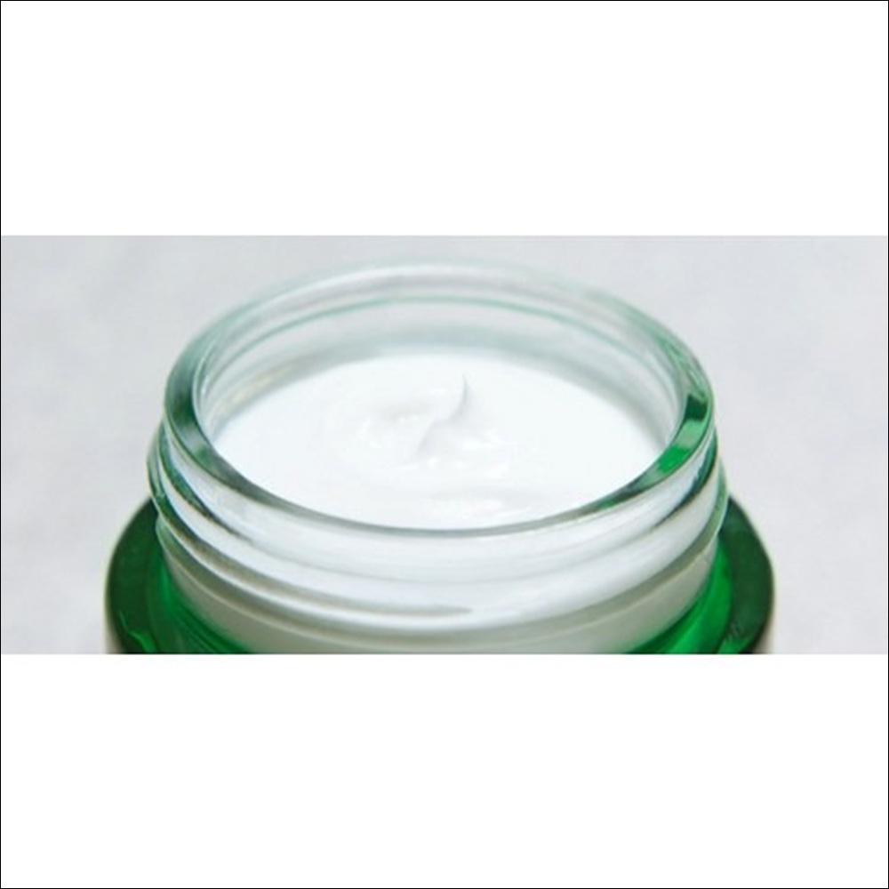 Innisfree Green Tea Ceramide Cream (50ml)
