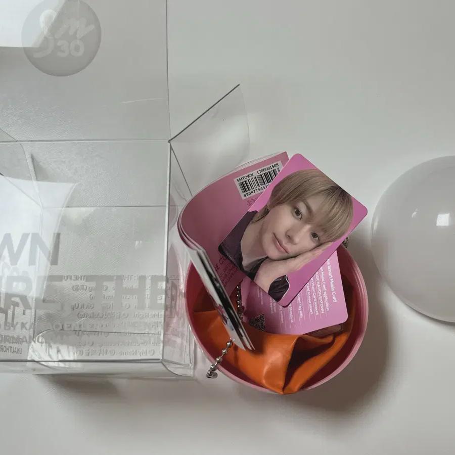 

Riize Chanyoung Sm 30th Anniversary Capsules