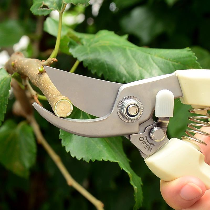 Stainless Steel Pruning Shears - Garden Tools for Branches and Fruit Trees
