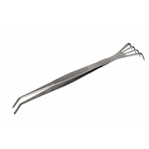 Senkichi Stainless Steel Tweezers with Rake, 22cm, with Serrations, for Moss, Houseplants, Succulents, and Bonsai