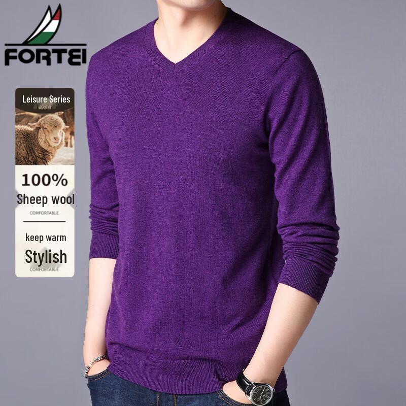 FORTEI Men's 100% Pure Wool V-Neck Pullover Sweater