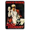 Ziggy S Tour Poster Metal Sign