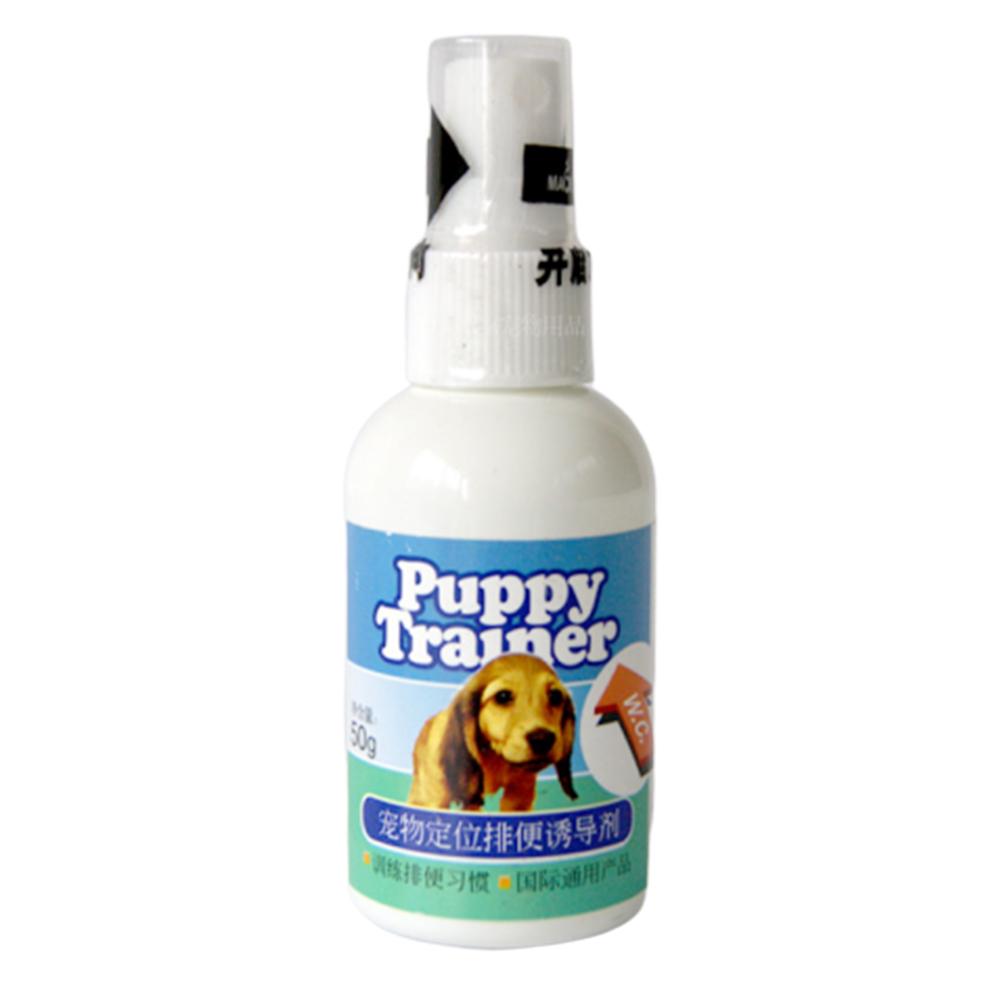 puppy corrector