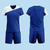 Women's & Men's Volleyball Team Uniform Set - Short-Sleeved, Professional Training Suit with Printed Numbers