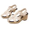 Fashion Women Sandals Summer Buckle Strap Wedge Sandals Brand Designer Chunky Platform Sandals Rivet Thick Sole Gladiator Shoes Woman