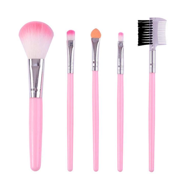 Pink 5-Piece Makeup Brush Set: Portable Brushes for Blush, Foundation, Eyeshadow, and Eyebrows