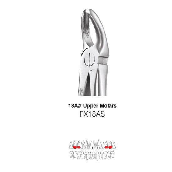 GDC Extraction Forceps Upper Molar Standard 18A (FX18AS)