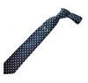 SWANK Tie Bar Necktie Set NT07 [SWANK] & [Glasses (Silver) ver.]