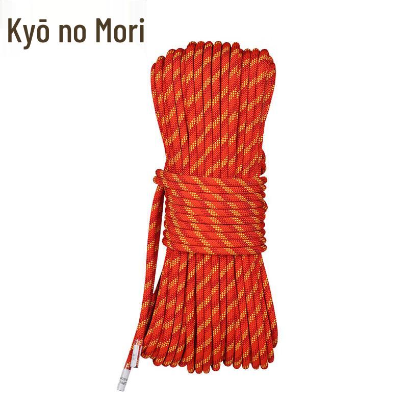 Jingzhisheng Outdoor Rock Climbing Ascender Descender