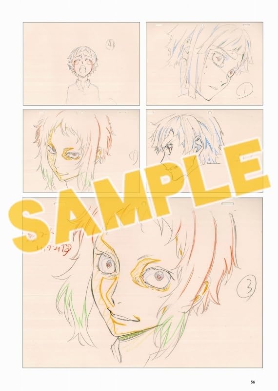 C105 Bonus Postcard Included Bungo Stray Dogs General Supervision & Original Illustration Collection Season 1