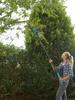 Yofidra Brushless 8Inch Telescoping Pole Electric Chainsaw High Branch Saw Garden Pruning Power Tool For Makita 18V Battery Pin