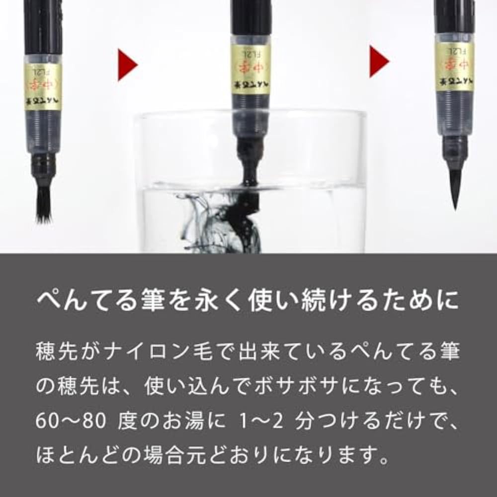 Pentel Brush Pen Pentel Brush Pigment Ultra Fine Black 10 Packs XFP5F (10)