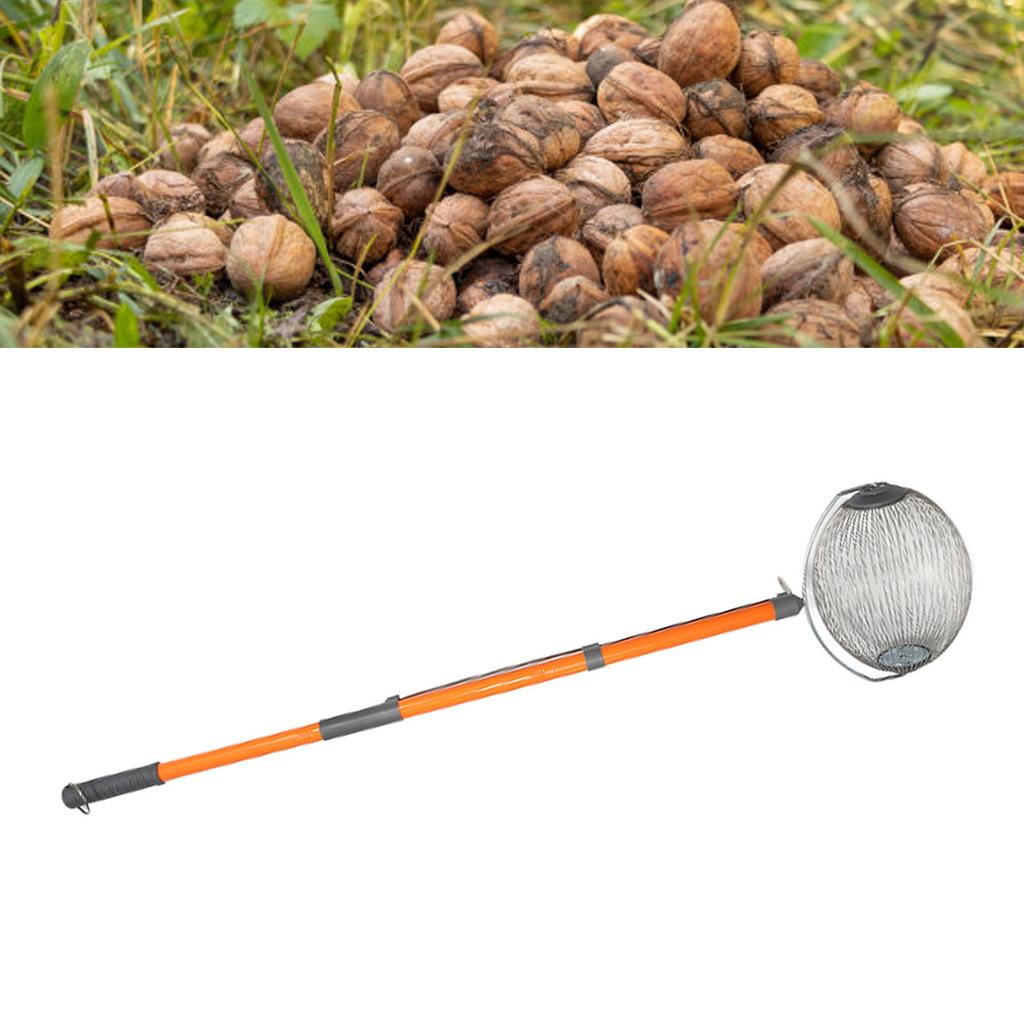 Sběrač ořechů Hliníková slitina Multifunkční sběrač vlašských ořechů Válcovací nástroj pro sběr ořechů pro zahradničení Sklizeň