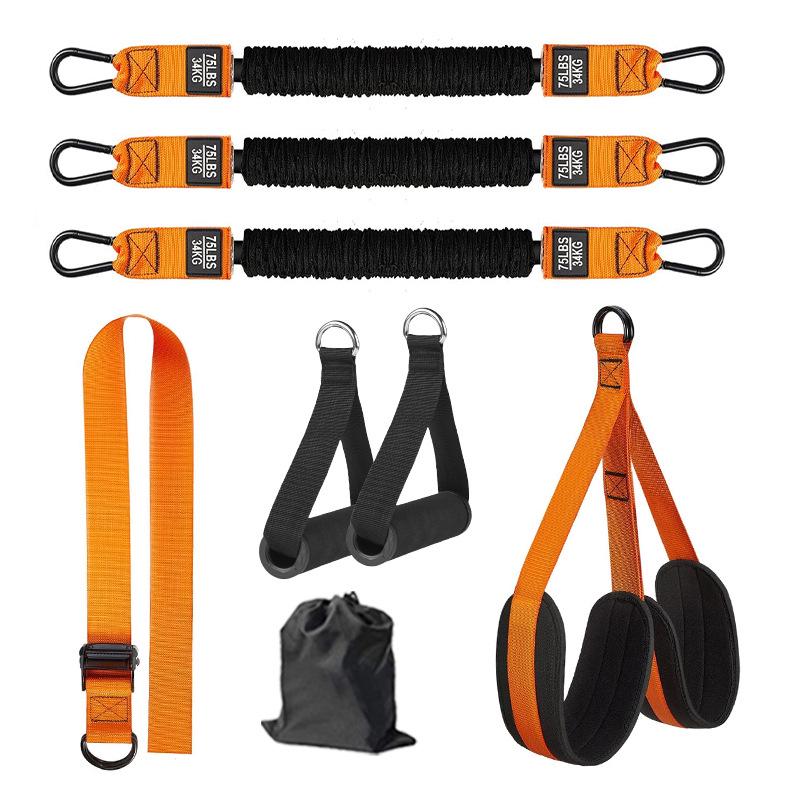 Pull-up Assist Resistance Band for Indoor Fitness and Exercise