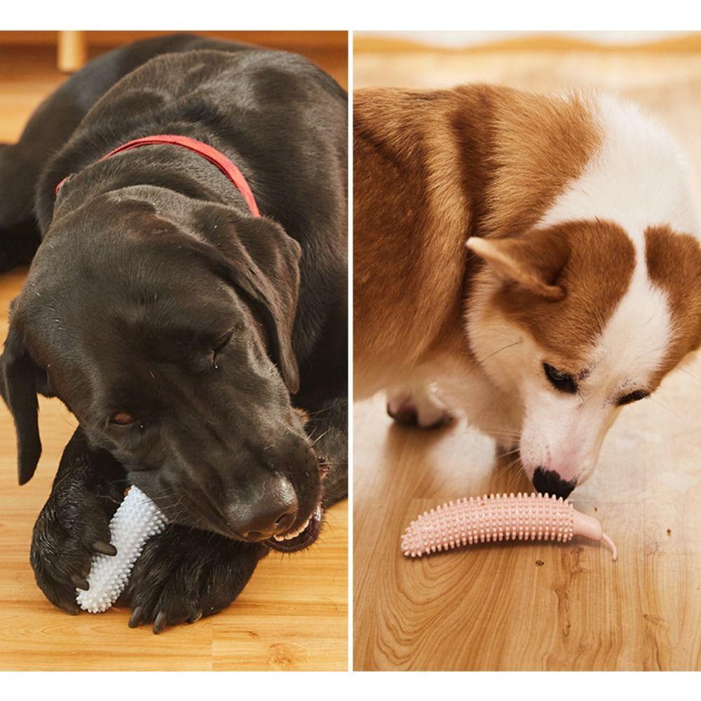 Cucumber Shape Dog Teeth Grinding Stick Bite Resistant TPE Dog Biting Stick Wear Resistant Pet Molar Stick Relieve Boredom