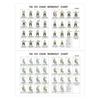 Tableau d'exercices de Tai Chi sur chaise pour seniors Plan d'exercices structuré de 30 jours avec Tai Chi assis et exercices de marche