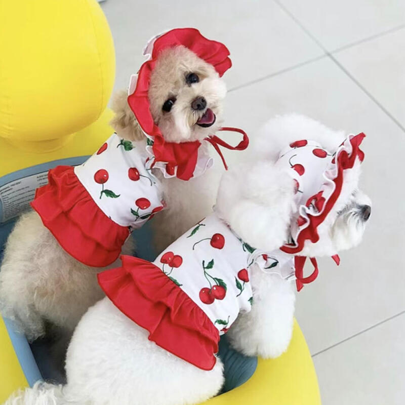 Cherry Frill Swimsuit + Hat Set Dog Swimwear XL