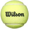 Wilson Tennis Racket Set Bear 2 Rackets + 2 Balls 21 Inch for Toddlers To Early Elementary Kids
