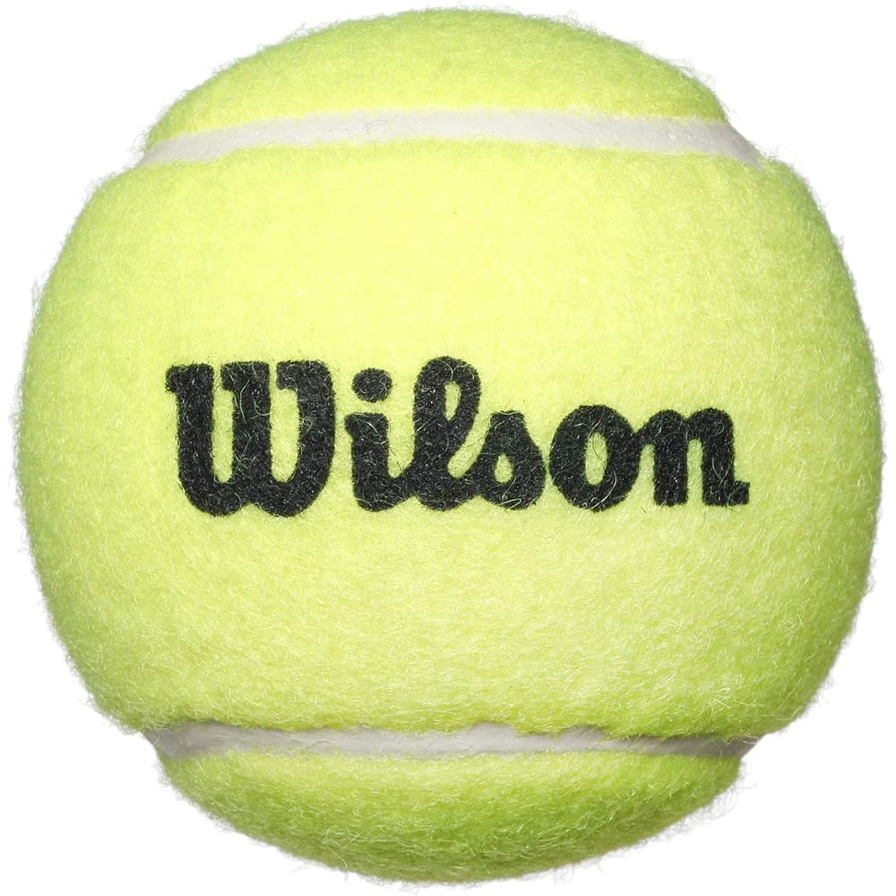 Wilson Tennis Racket Set Bear 2 Rackets + 2 Balls 21 Inch for Toddlers To Early Elementary Kids