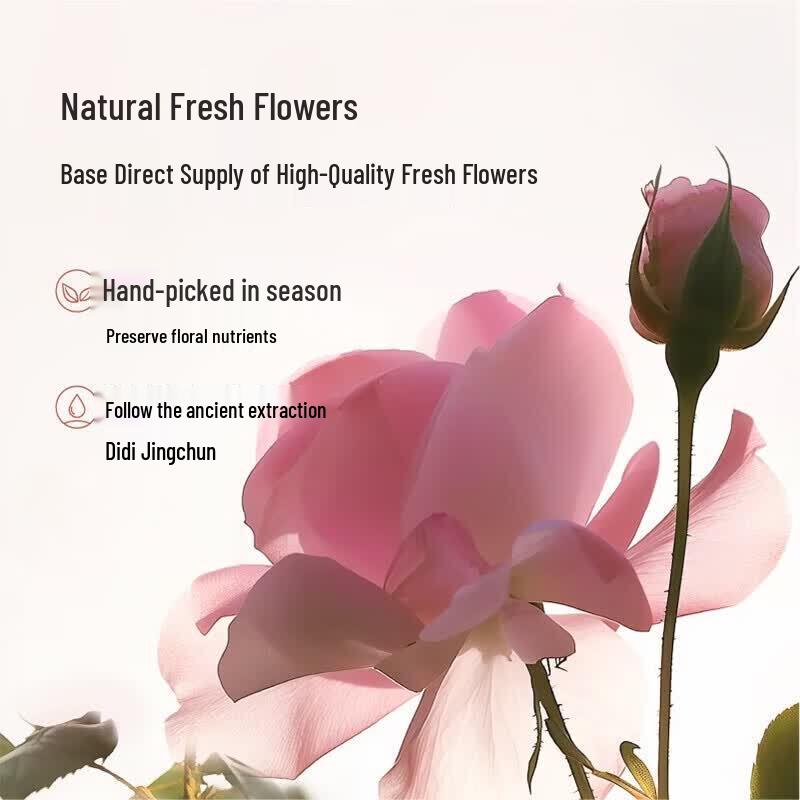 Little Dream Garden Camellia Petal Moisturizing Shower Oil