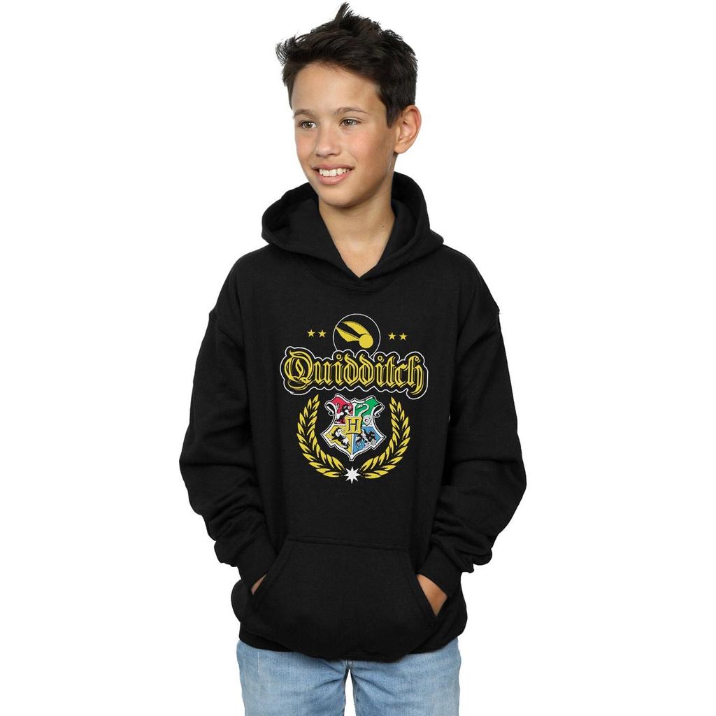 HARRY POTTER Boys Quidditch Crest Hoodie