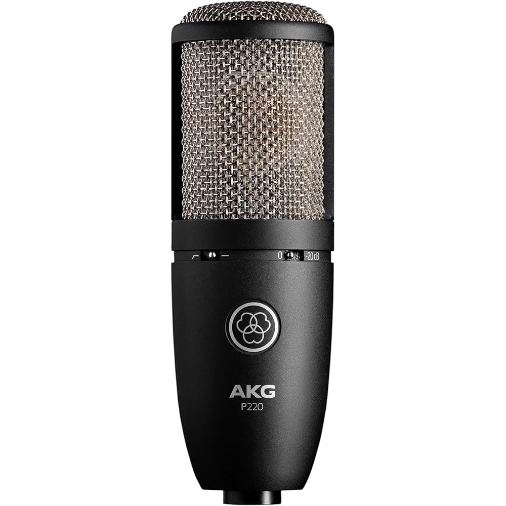 AKG (Arker Game) P220 Project Studio Line [Ideal for Vocal/piano/wind Instrument Recording, Durab...